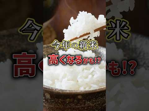 新米が高くなる!?カメムシ大量発生予報