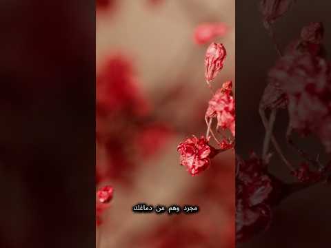 لن تصدق… الأحمر يمكن أن يخدع دماغك! 🔴🧠