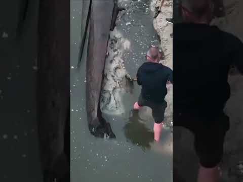 An ancient boat has been discovered in the Dnipro River in Ukraine