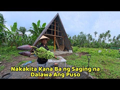 Saging Dalawa Ang Puso - Tuloy Ang Paggawa Ng Bahay Ng Black Pig, inabot na Kami Ng gabi 
