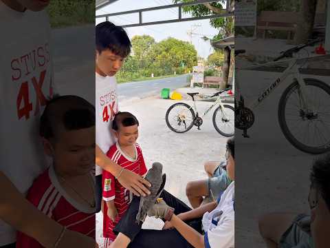 Đại ca Lộc đòi mua diều hâu trắng 😆😆 #tranphihung #funny #daicaloc #haihuoc #mientay