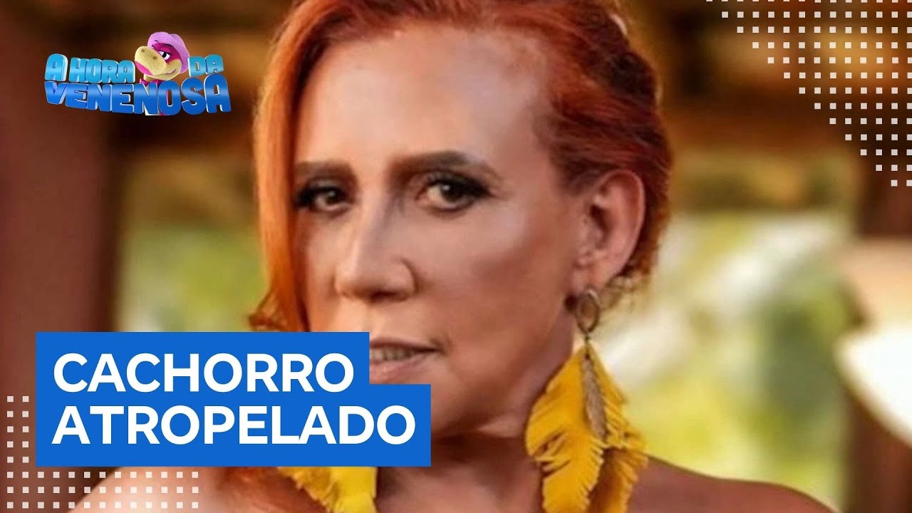Rita Cadillac relembra cachorro atropelado que ajudou a salvar e ir atrás do responsável