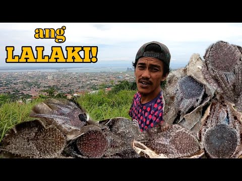 PINASOK NAMIN ANG LUGAR NG MGA GAGAMBA ANG DAMI ANG LALAKI PA
