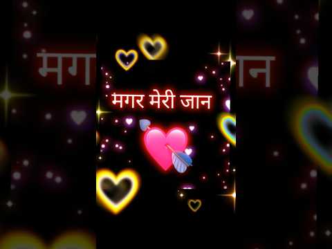 हर बेटी होती है लाडली 👑 मगर हमसफर की लाडली होना खास है ❤️ | #hindishayari #status #sadshayari