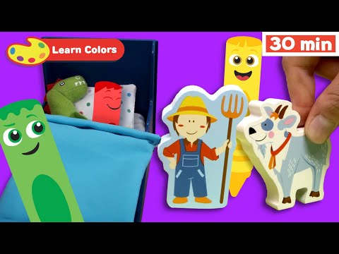 Understanding Colors: A Fun Educational Journey for Young Learners | First University