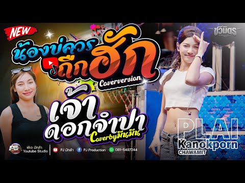 มาแรง🔥  น้องบ่ควรถืกฮัก X เจ้าดอกจำปา X บ่โสดบ่อนุญาตให้จีบ | ปลาย กนกพร & มีนมีน #รถแห่ชวมิตร