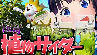 葉っぱを漬けといたら、発酵してサイダーになるらしい…【松の葉サイダーと愉快な植物たち】