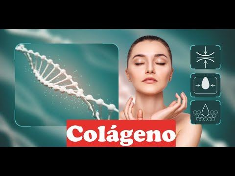 ¿Cómo mantener y aumentar tus niveles de colágeno de forma natural?