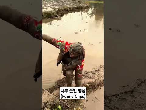 너무 웃긴 영상(Funny Clips) #funnyclips #funny #fun #funnyvideo #웃긴짤 #웃긴영상 #웃긴 #laugh