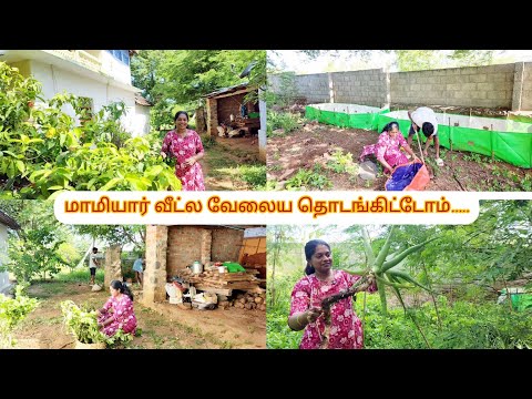 🏡மாமியார் வீட்ல எங்க வேலைய தொடங்கிட்டோம்👍July 10 /2025