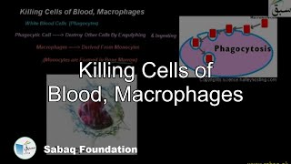 Killing Cells of Blood, Macrophages