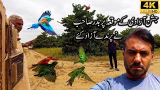 Badar Sahib freed 200 pairs of Birds on the occasion of Independence Day  | Birds Free From Cage