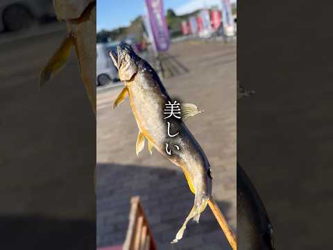 【飯テロ注意】那須の道の駅で天然鮎を炭火焼き！「那須の与一の郷」の絶品グルメ🐟🔥　#shorts