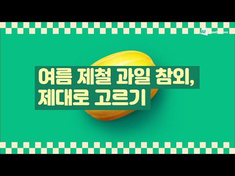 [생활 TIP] 여름 제철 과일 참외, 제대로 고르기