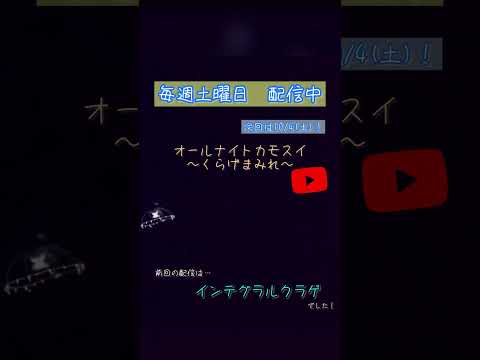 第220回オールナイトカモスイ〜クラゲの世界と水族館の裏側を楽しむ〜 サムネイル