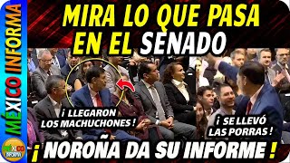 NOROÑA DA SU INFORME DESDE EL SENADO. LLEGARON TODOS LOS MACHUCHONES. MIRA LO QUE ESTÁ PASANDO.