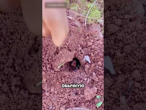Нашел способ избавится от непрошенных гостей 🚫🚪😂