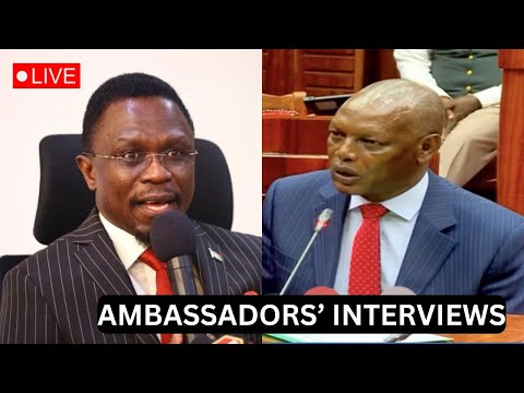 LIVE! NOMINATED AMBASSADORS INTERVIEW AT COUNTY HALL, NAIROBI