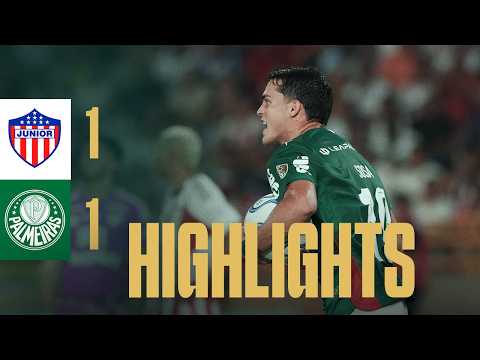 image para ilustrar o artigo