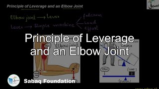 Principle of Leverage and an Elbow Joint
