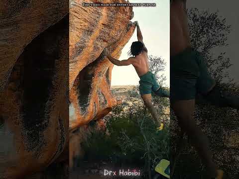 #sanjubaba