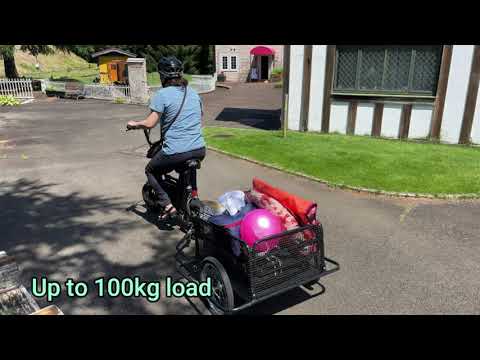 Fiido E-bike wagon fits all 12-16 inch bikes