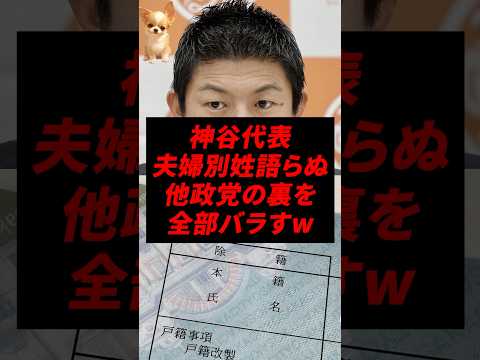 ㊗️200万再生！神谷代表、夫婦別姓語らぬ他政党の裏を全部バラすw