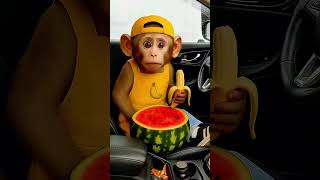 Monkey Driver by Secret Vlog