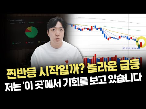 급등에 성공한 이유와 리스크 요인 3가지｜주요 이슈 및 시황