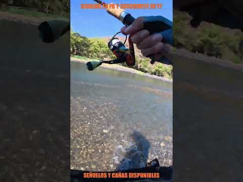 Le pegue a una buena MACHACOTA cracks #pesca #fishing #pescaria #elsalvador