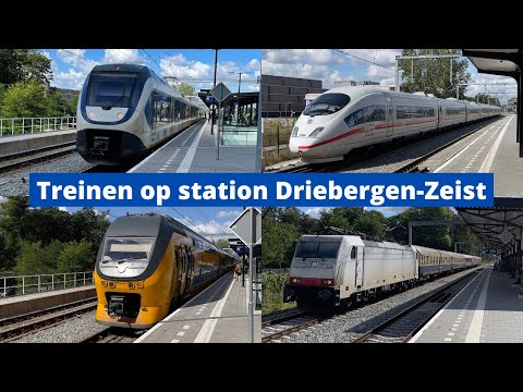 Treinen op station Driebergen-Zeist - 6 augustus 2022