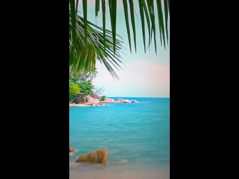 🏖️ Beach Mix 📹 Sonic Vista Studios