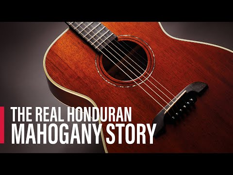 The Real Honduran Mahogany Story