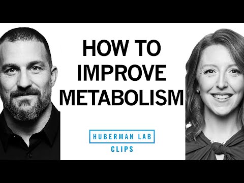 Simple Steps to Improve Your Metabolism | Dr. Casey Means & Dr. Andrew Huberman