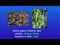 Nitrogen Cycle and Soil Management