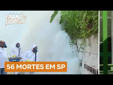 São Paulo registra primeira morte por dengue em 2025