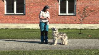 Backa runt