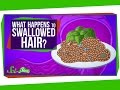Understanding Hair in Food and Its Effects