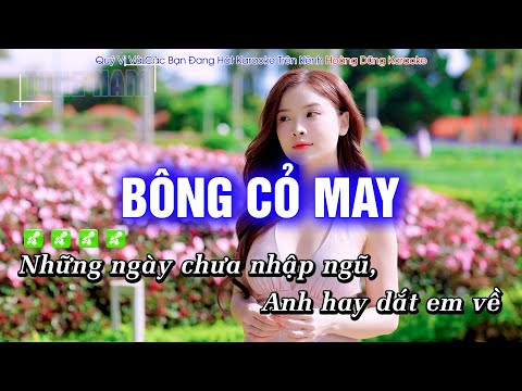 Karaoke Bông Cỏ May (Tone Nam) Beat Phối mới cực hay – Hoàng Dũng Karaoke