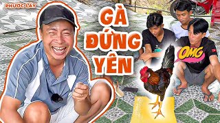 Thử Thách Giữ Gà Đứng Yên Trong 10 Giây Và Cách Giải Quá Đủ WOW! | Phước Lầy