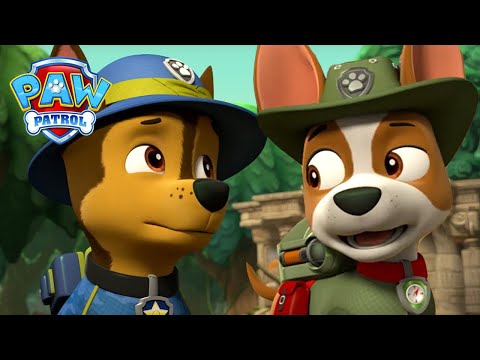 Chase e Tracker ajudam a alimentar os pinguins - Patrulha Pata PAW Patrol Episódio Português