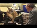 Квиз за Видео Туторијал