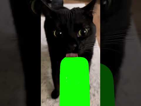 レロレロレロレロ