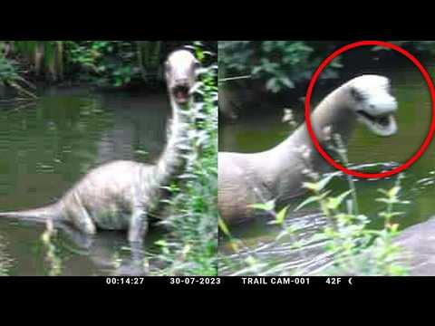 Prehistoric Creatures Caught on Camera That Should Be Extinct