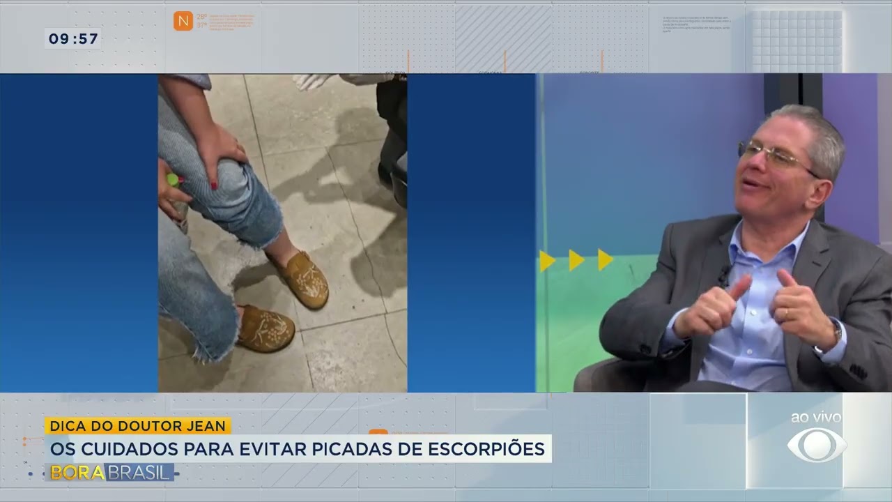 Picadas de escorpião já mataram 132 pessoas este ano veja cuidados