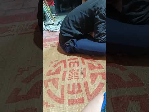 Xuân Mai Hoa Mận Nở tết du xuân #xuhuongtiktok #2025