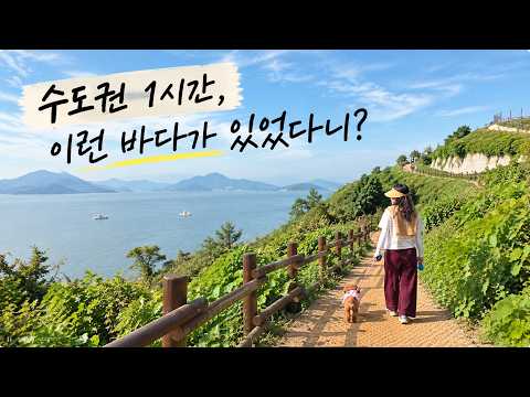 강아지 댈고 수도권 1시간 내에 제주도 같은 둘레길이 있다니!! 🐶