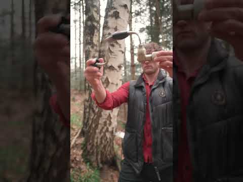 THAT'S HOW You should get the BIRCH SAP 🌳