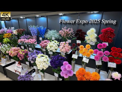 【4K HDR ROSE】　Flower Expo 2025 Spring. "The Ultimate Cut Flower Championship"