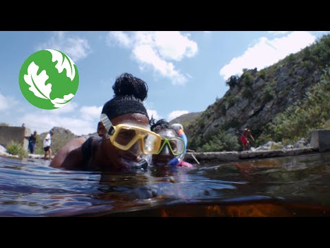 Diving In: Students Document River Habitats in South Africa